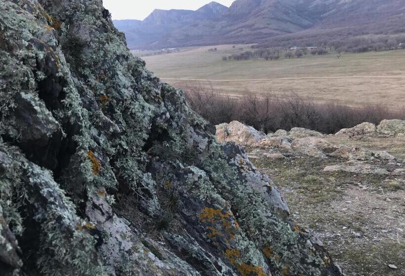 Отель Plai Dobrogean