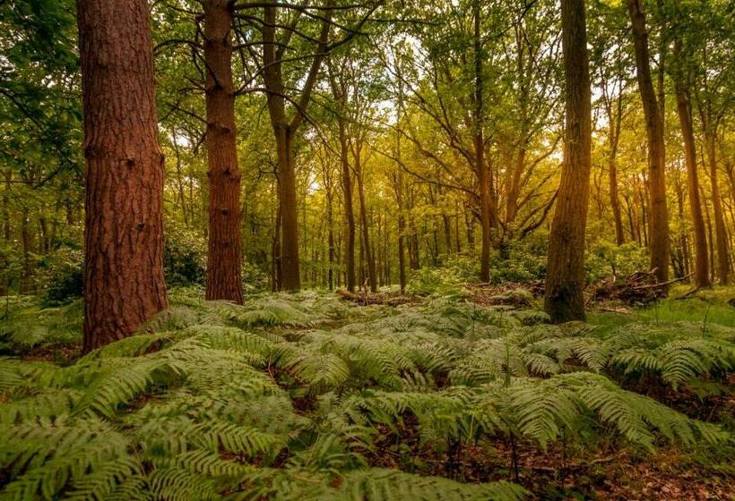 فندق Whitmoor Farm