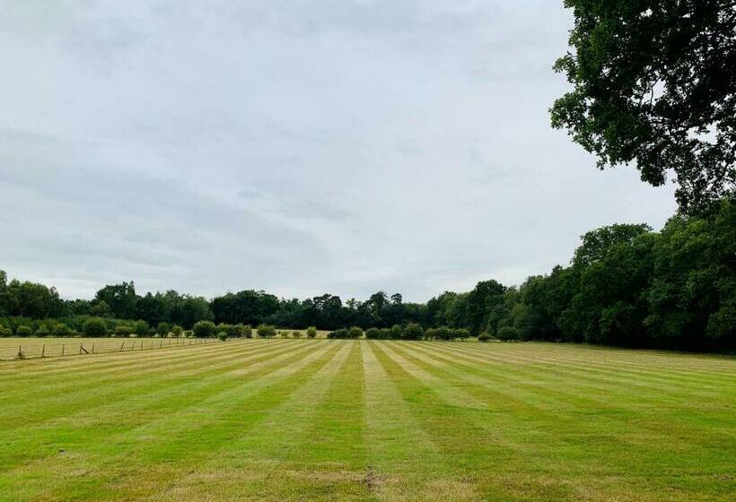 فندق Whitmoor Farm