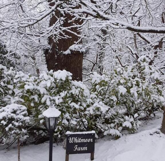 فندق Whitmoor Farm