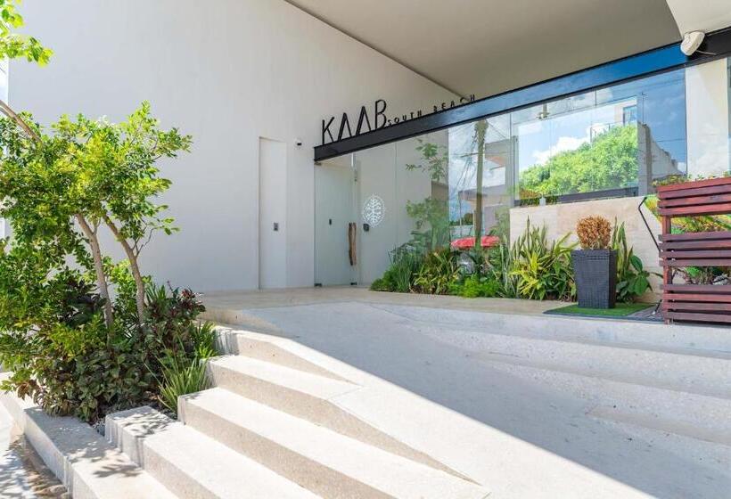 Kaab South Beach By The Spot Rentals