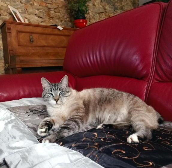 민박 La Douce Parenthèse 3 Chambres D Hôtes Accueil Motards