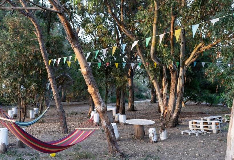 Mg Palace Hotel Costa Del Sole