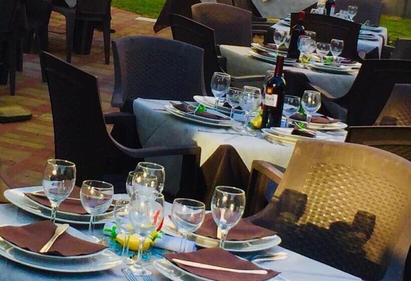 Mg Palace Hotel Costa Del Sole