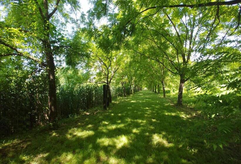 بنسيون Antica Norma Alloggio Turistico