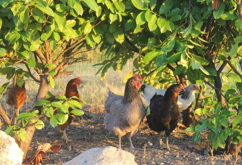 膳宿费 Au Mas De Janita