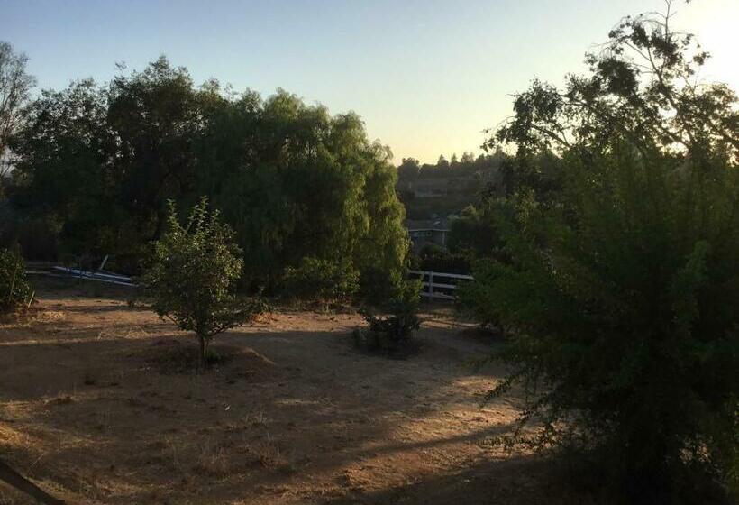 פנסיון Beautiful New Detached Casita Nestled In Scenic Southern Ca Foothills!