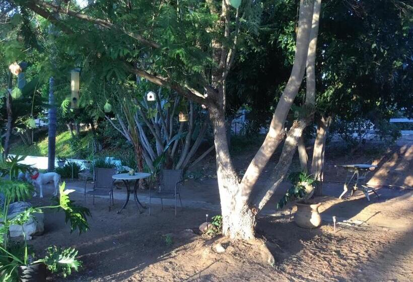 פנסיון Beautiful New Detached Casita Nestled In Scenic Southern Ca Foothills!