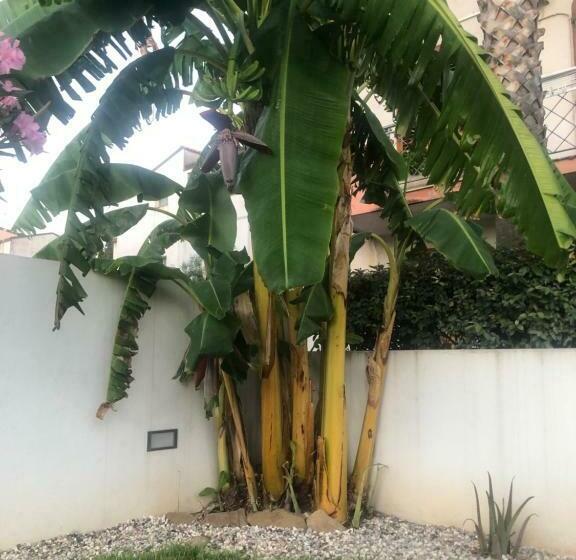 Пансион Dependance Reale