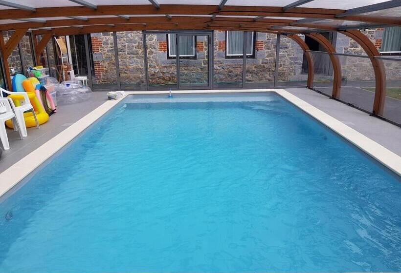 פנסיון Duplex Swimming Cats