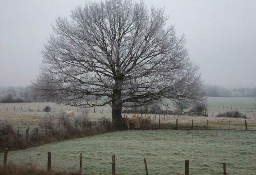 بنسيون Le Chaumois