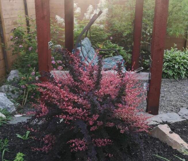 펜션 Le Vieux Poulailler édifice Patrimonial New Richmond Gaspesie