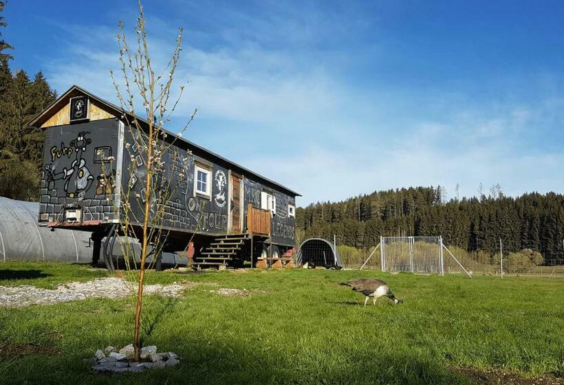 بنسيون Living Legends   Tiny House Auf Den Wiesen Der Edermühle