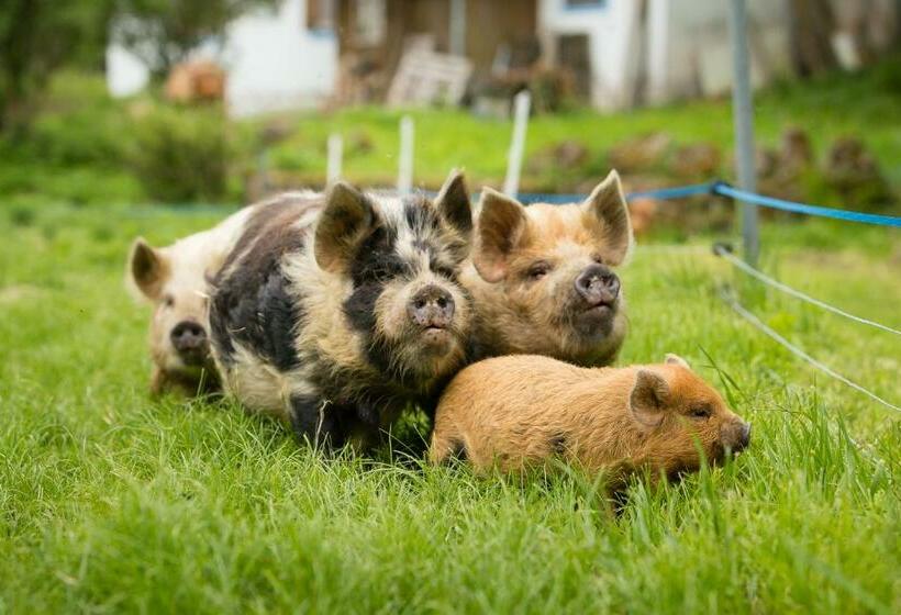 بنسيون Living Legends   Tiny House Auf Den Wiesen Der Edermühle