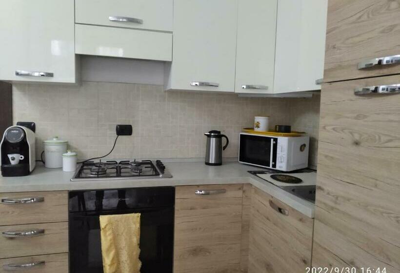 膳宿费 Struttura Stella