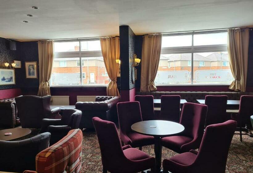 بنسيون The Seahorse