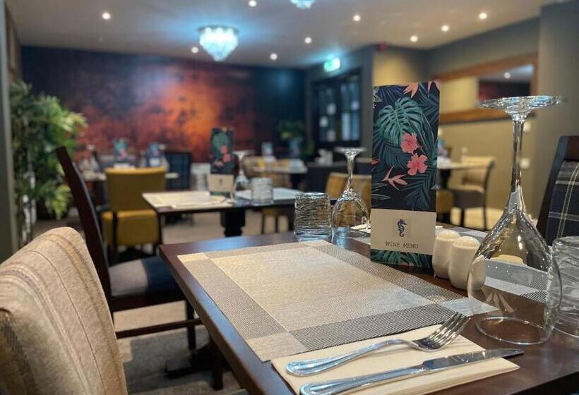 بنسيون The Seahorse