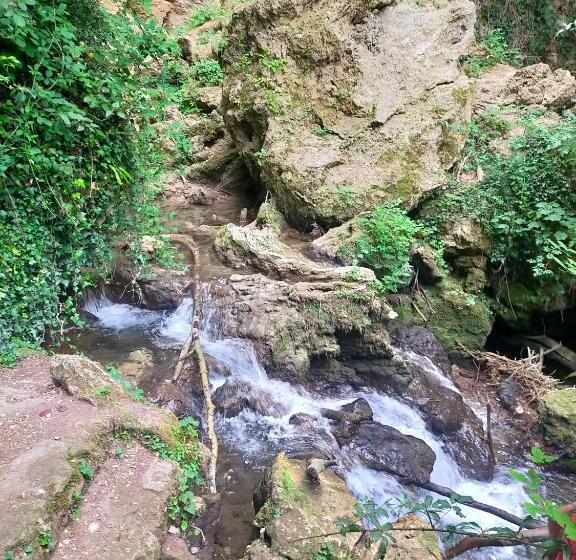 פנסיון Traivicolidifoligno