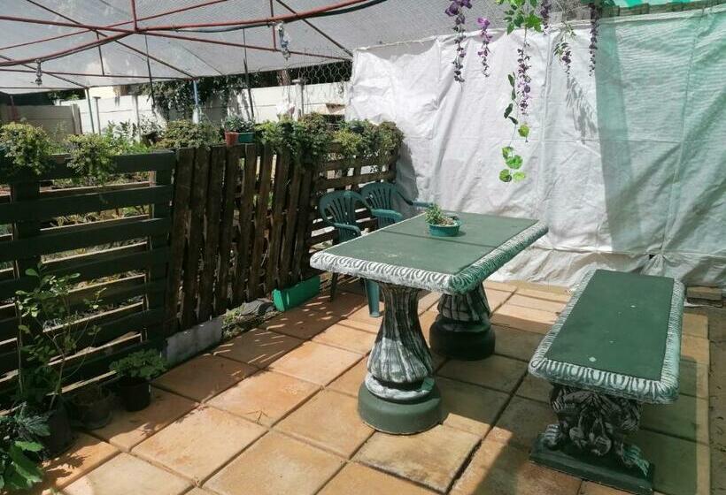 펜션 Why Not Guesthouse