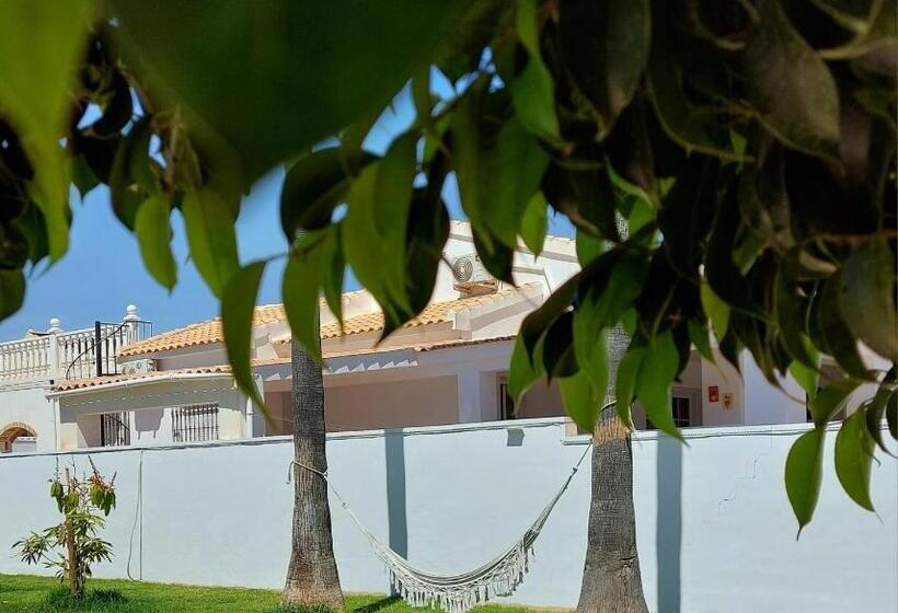 Zenia Hostel
