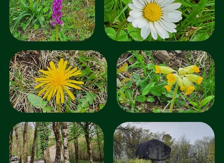 צימר A L Ecole Buissonnière, Chambre D Hôtes En Sidobre