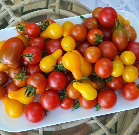 צימר A L Ecole Buissonnière, Chambre D Hôtes En Sidobre