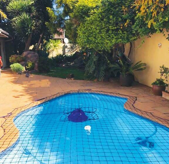 Bed and Breakfast African Bnb   The Boutique Experience