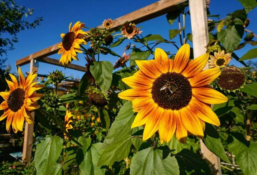 צימר Aux Peupliers