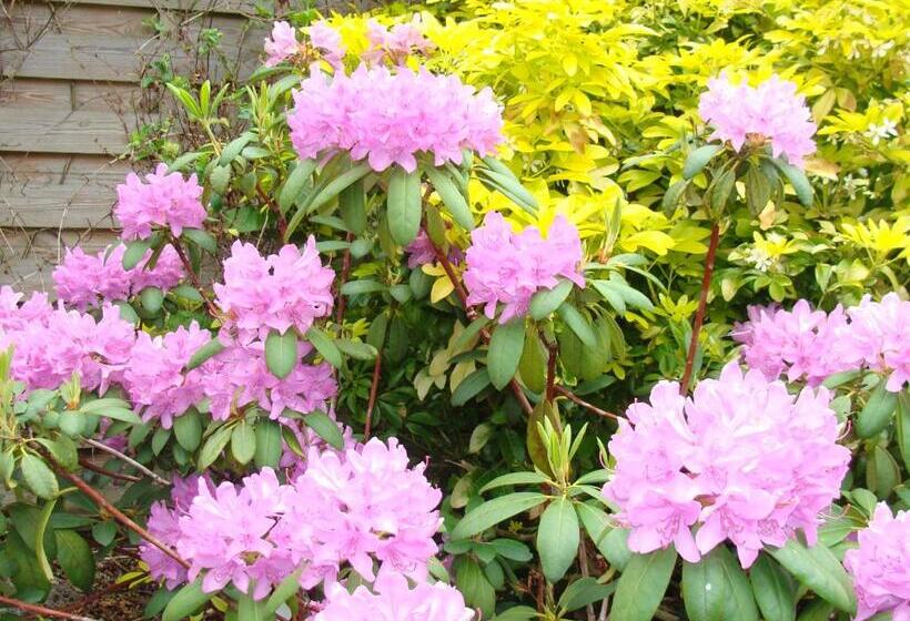 Bed and Breakfast Chambre Maison De Ville Dans La Cité Des Trois Vallées
