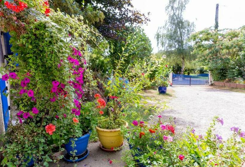 مبيت وإفطار Chambres Et Table D Hôtes Floromel La Souterraine En Rez De Chaussee