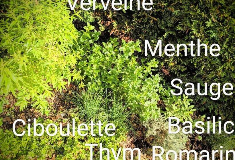 ベッドアンドブレックファースト Le Belvédère : Chambres Et Table D Hôtes