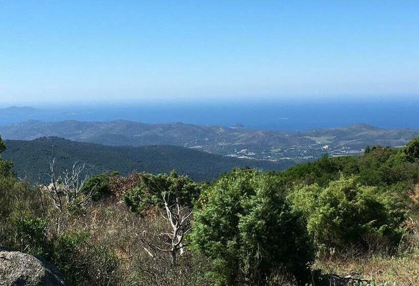 住宿加早餐  La Petite Bergerie, Les Hautes Roches