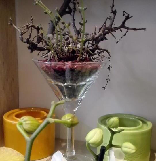 مبيت وإفطار Les Terrasses De Saillans