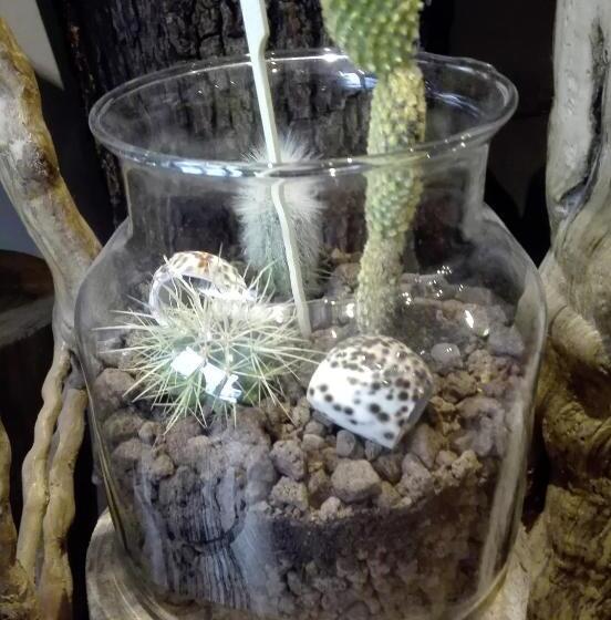 مبيت وإفطار Les Terrasses De Saillans