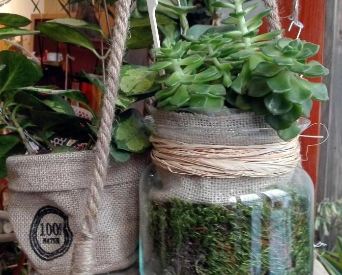 مبيت وإفطار Les Terrasses De Saillans