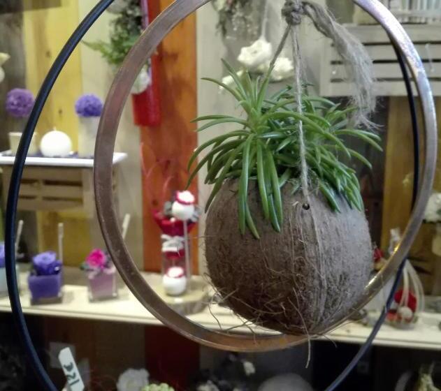 مبيت وإفطار Les Terrasses De Saillans