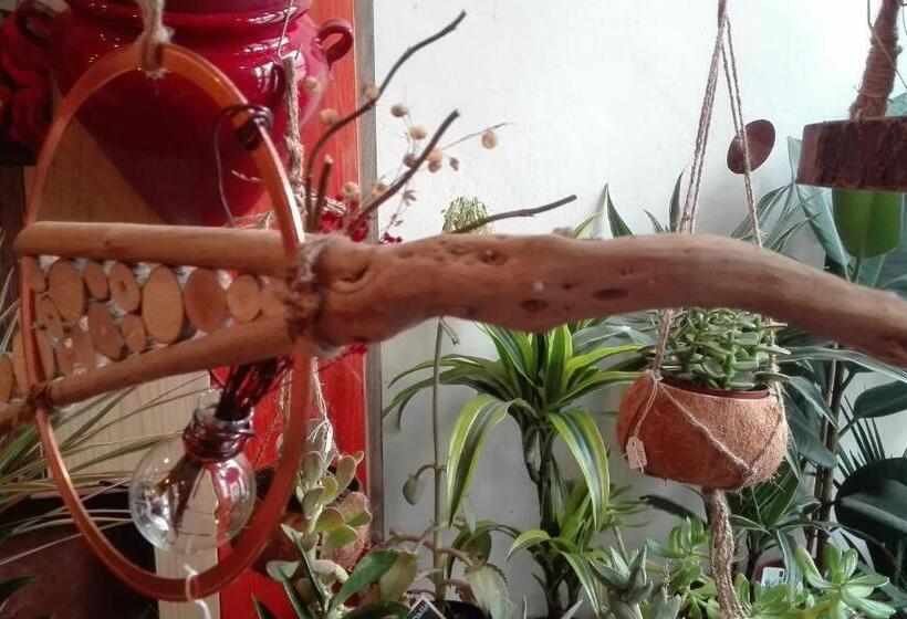 مبيت وإفطار Les Terrasses De Saillans