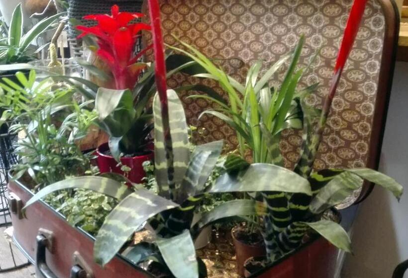 مبيت وإفطار Les Terrasses De Saillans