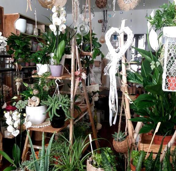 مبيت وإفطار Les Terrasses De Saillans