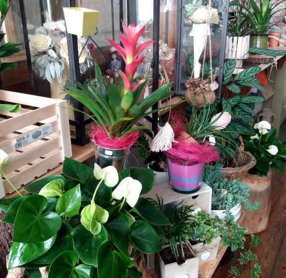 مبيت وإفطار Les Terrasses De Saillans