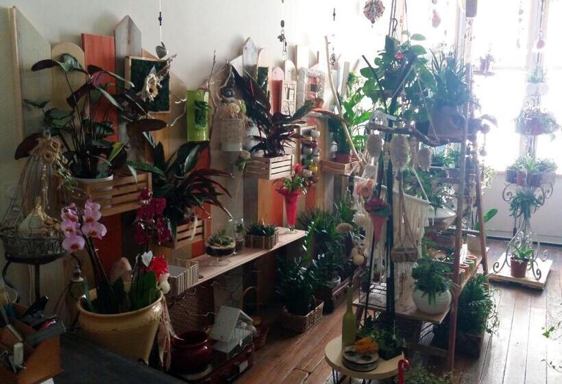 مبيت وإفطار Les Terrasses De Saillans