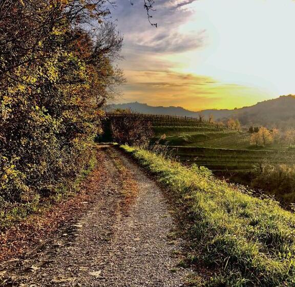 تختخواب و صبحانه Peterc Vineyard Estate