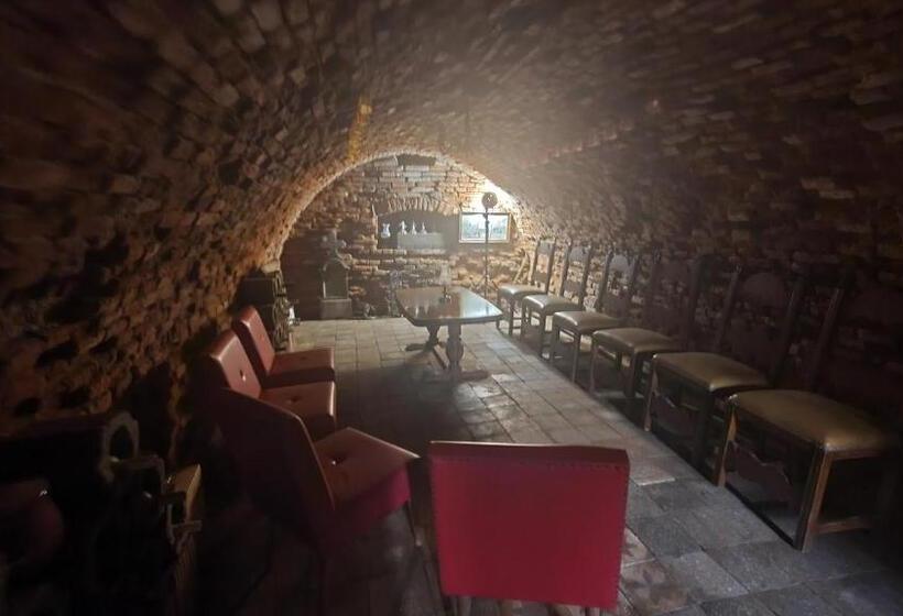 مبيت وإفطار Tisza White House