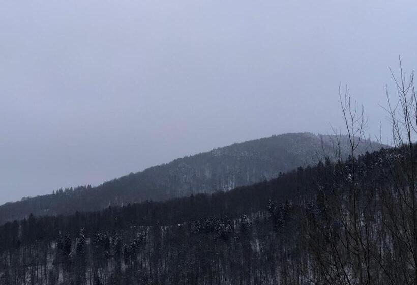 민박 Vila Loft Cube