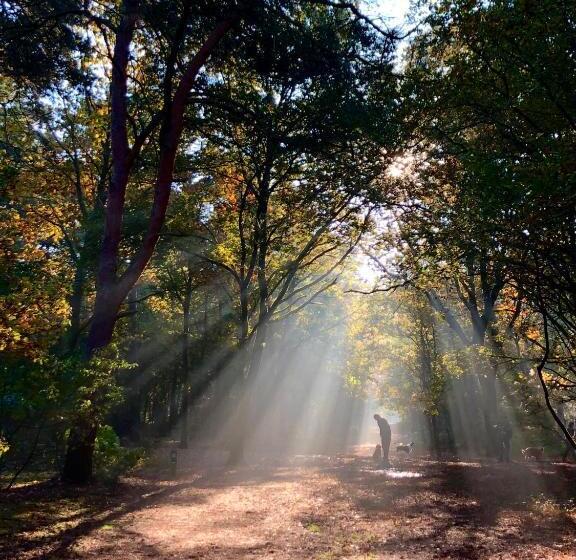 B&b Mir Lo In Mierlo Adults Only