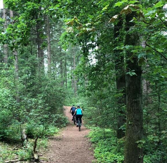 B&b Mir Lo In Mierlo Adults Only