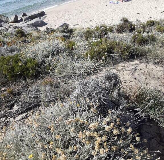 Casa Mirice In Residence Con Piscina ,wifi,climatizzatore Vicino Al Mare