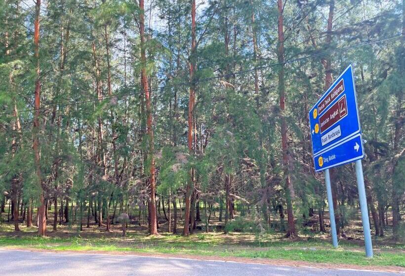 فندق D’razna Inn