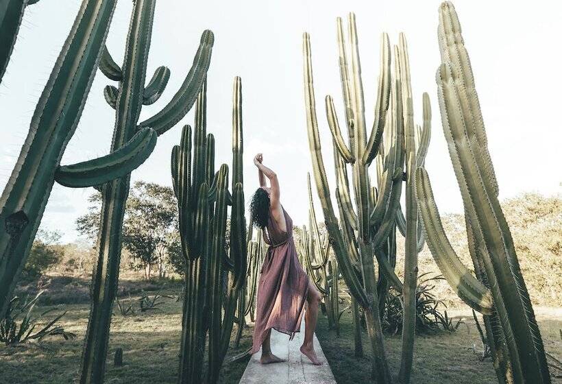 호텔 Hacienda San Antonio Millet