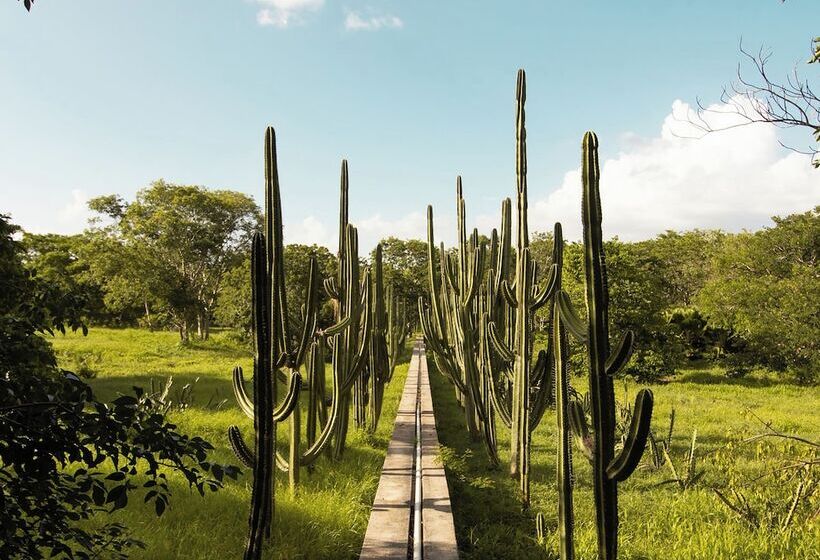 호텔 Hacienda San Antonio Millet
